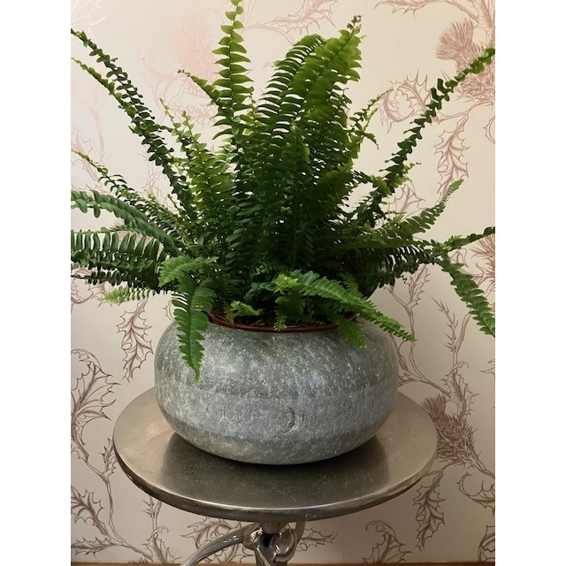 Curling stone planter